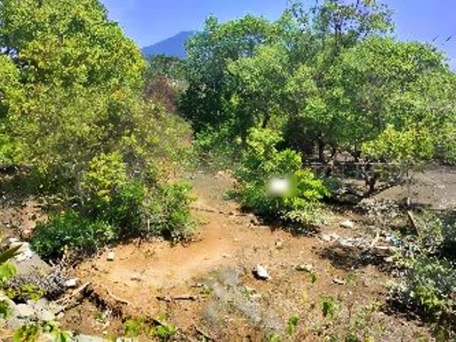 Property for sale in Kuala Kedah, Kedah