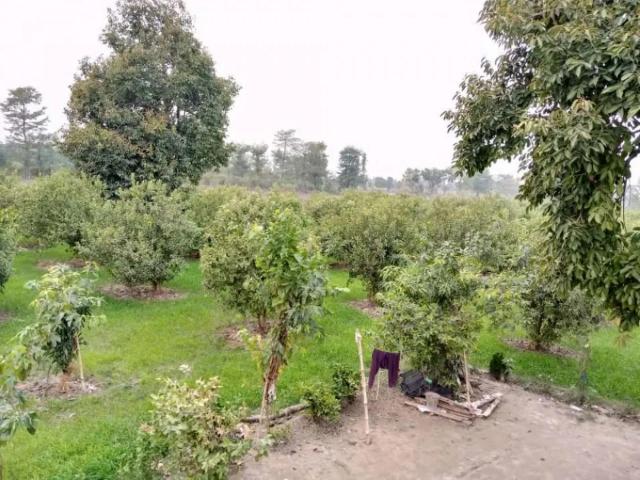 Land for sale in قصور, لاہور ڈویژن