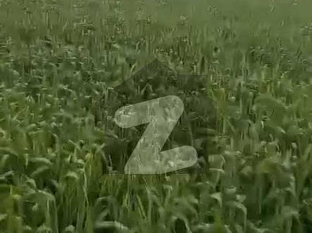 Land for sale in Sheikhupura, Islamabad Capital Territory