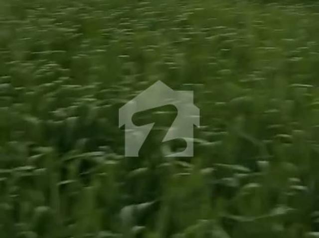 Land for sale in Muridke, Islamabad Capital Territory