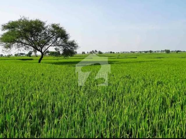 Land for sale in Sheikhupura, Islamabad Capital Territory