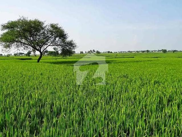 Land for sale in Sheikhupura, Islamabad Capital Territory