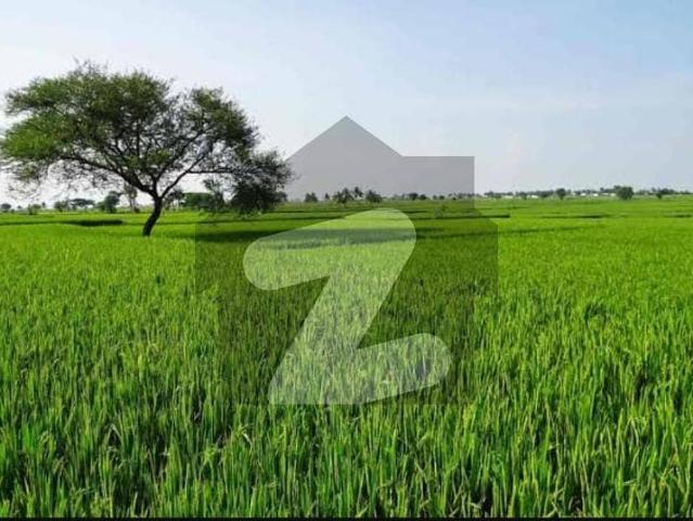 Land for sale in Sheikhupura, Islamabad Capital Territory