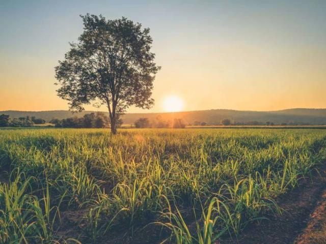 Land for sale in Rawalpindi, Islamabad Capital Territory