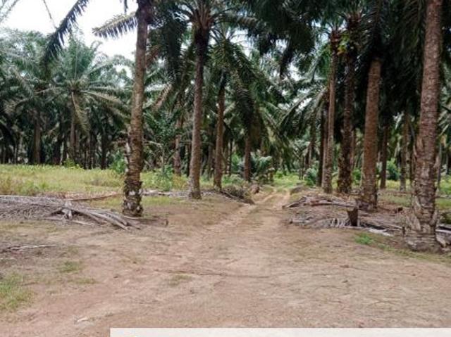 Shop for sale in Paloh, Kluang
