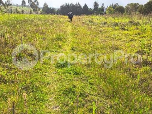 Land for rent in Kiambu