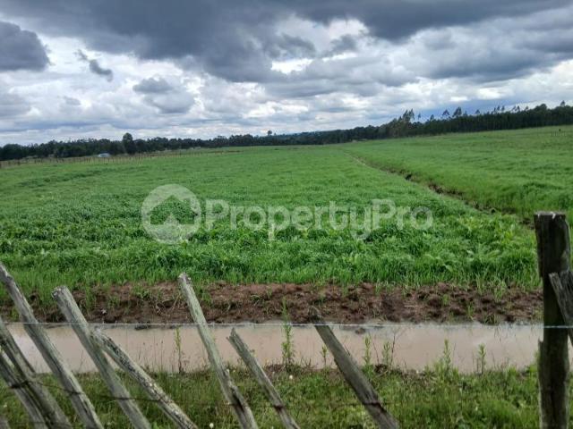 Land for rent in Kiambu