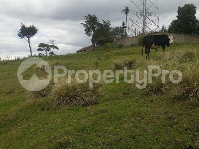 Land for rent in Kiambu