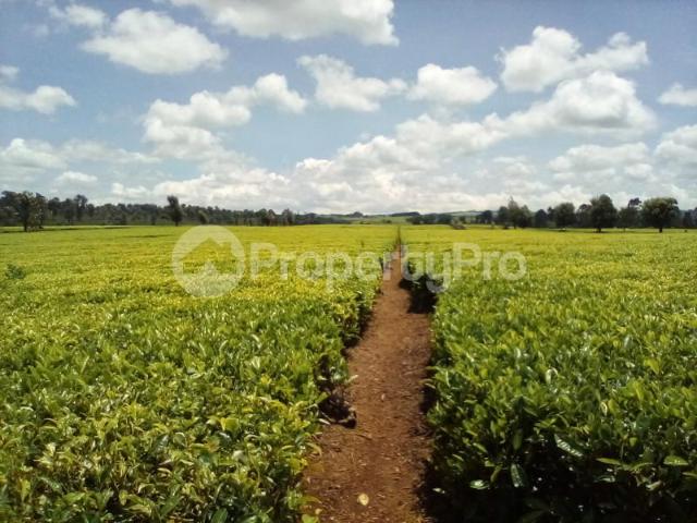 Land for sale in Kiambu Town, Kiambaa