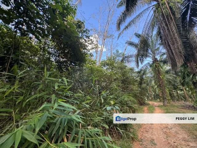 Shop for sale in Gerik, Hulu Perak