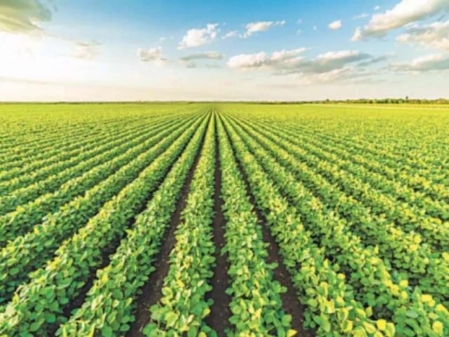 Land for sale in Rawalpindi, Islamabad Capital Territory