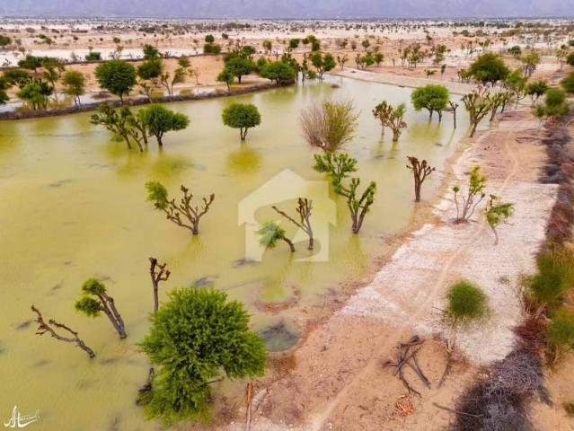 Land for sale in گوادر, مکران ڈویژن