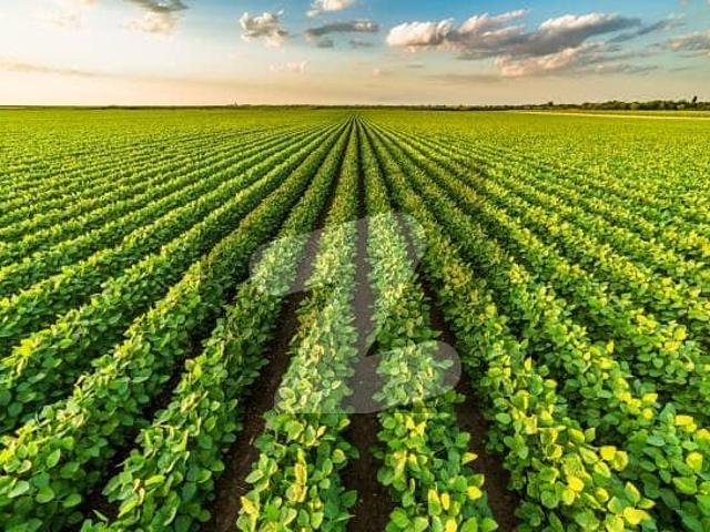 Land for sale in Rawalpindi, Islamabad Capital Territory