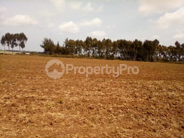 Land for sale in Meru