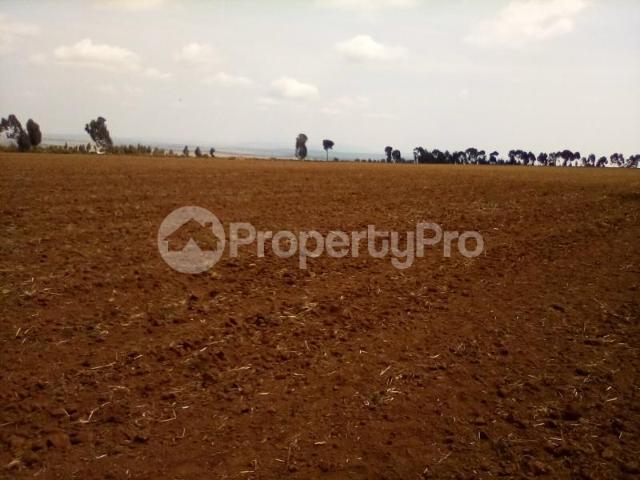 Land for sale in Imenti