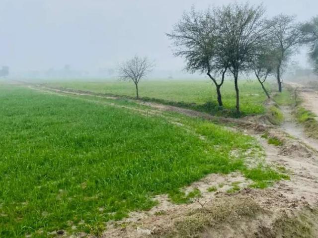 Land for sale in Islamabad Capital Territory