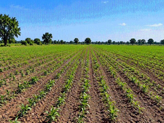 Land for sale in Adraj Moti, Gandhinagar