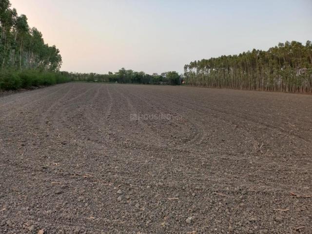 Land for sale in અગોલ, Mahesana