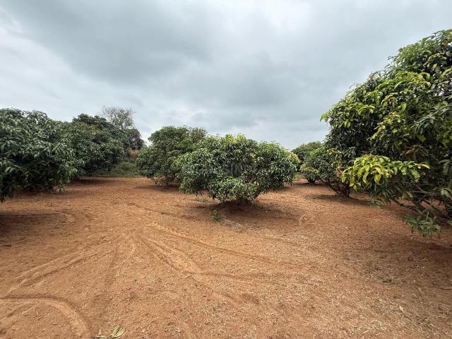 Land for sale in Bangalore South, Karnataka