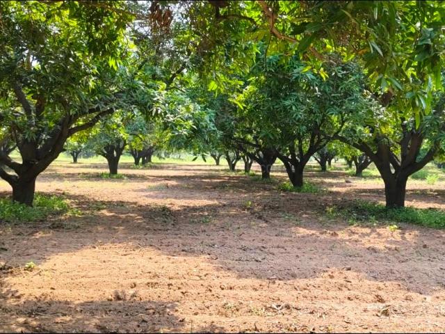 Land for sale in Kamatamgudam, Yadadri Bhuvanagiri