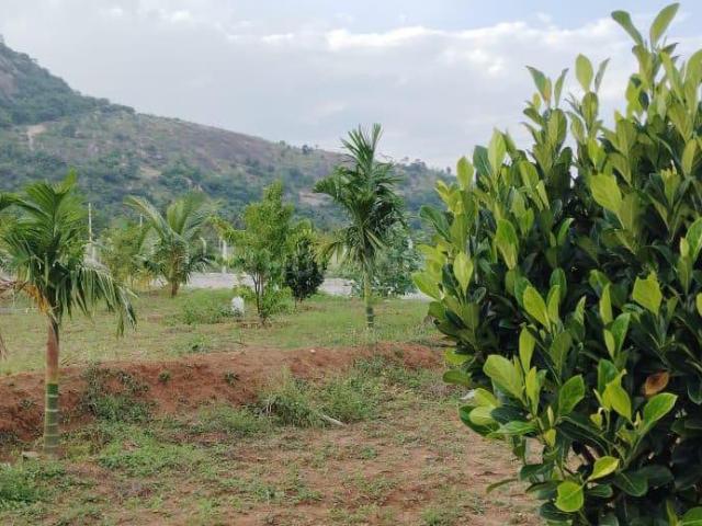 Land for sale in Karnataka