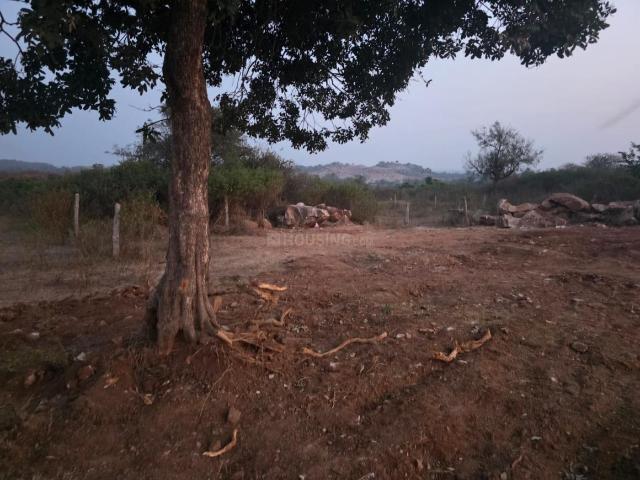 Land for sale in Medak, Allahdurg