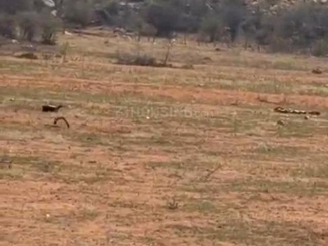 Land for sale in Ranga Reddy, Amangal