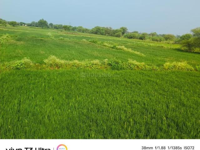 Land for sale in Chhattisgarh