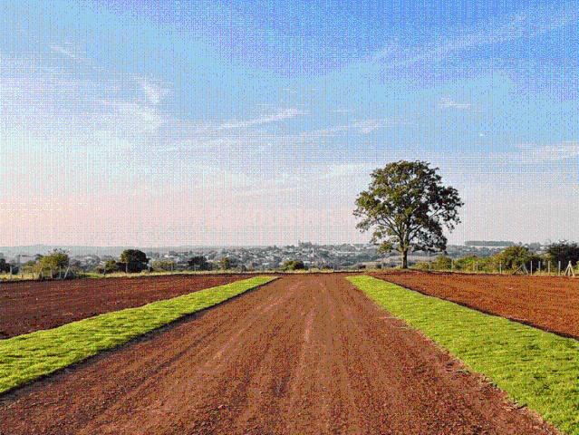 Land for sale in Chhattisgarh