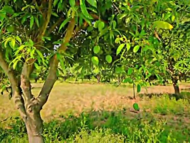 Land for sale in Mahabubnagar, Telangana