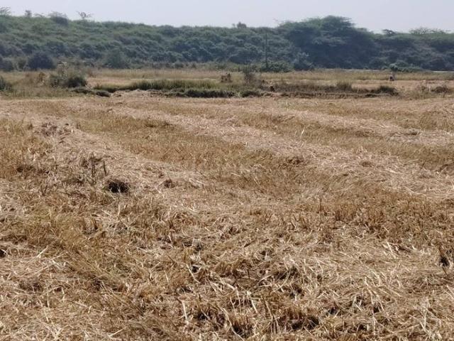 Land for sale in Bangarapet, Karnataka
