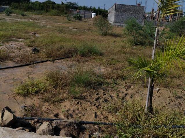 Land for sale in Madya