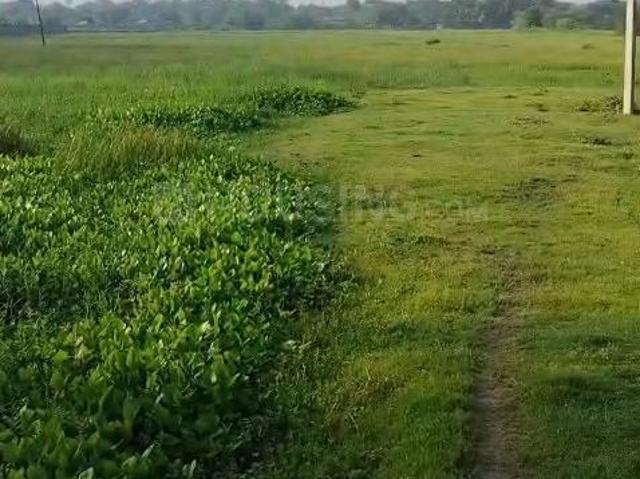 Land for sale in Baruipur, South 24 Parganas