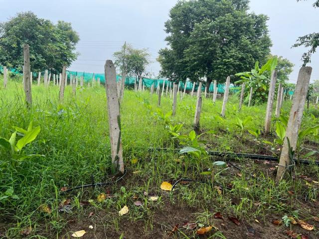 Land for sale in Raipur, Chhattisgarh