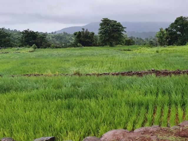 Land for sale in Bhor, National Capital Territory Of Delhi