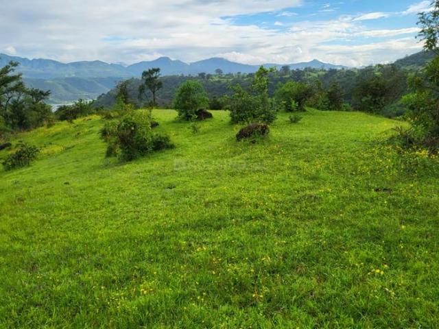 Land for sale in Bhor, National Capital Territory Of Delhi