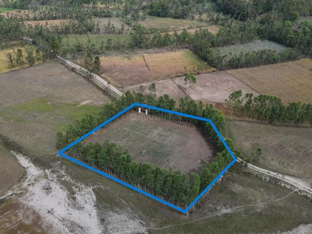 Land for sale in Behat, Arunachal Pradesh
