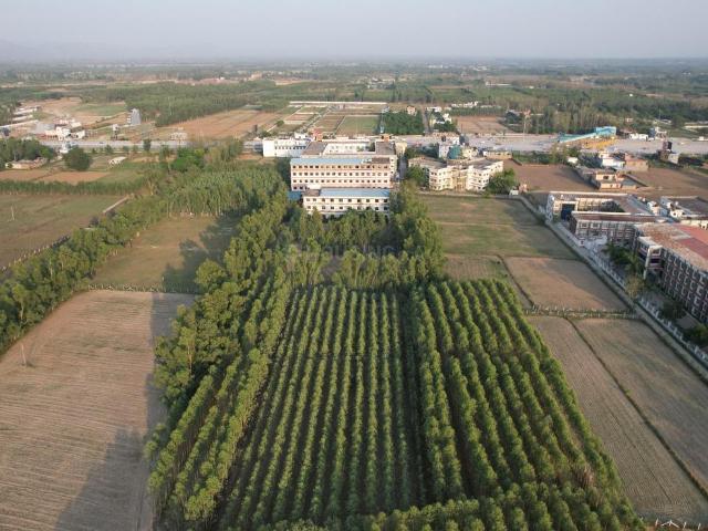Land for sale in Behat, Arunachal Pradesh
