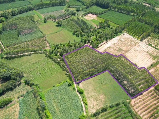 Land for sale in Behat, Arunachal Pradesh