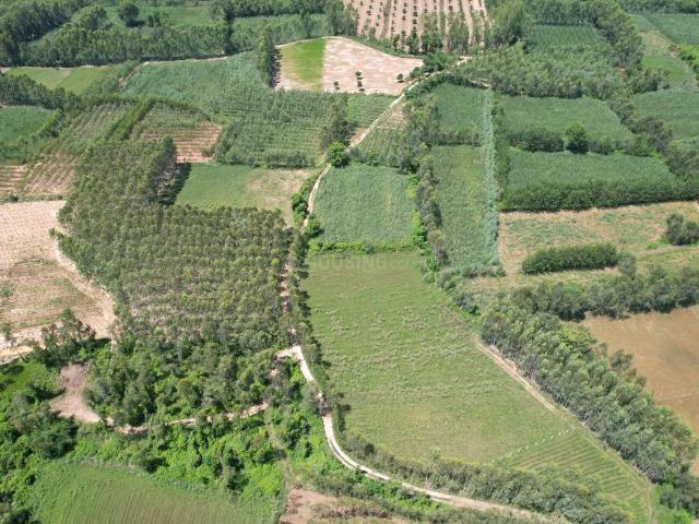 Land for sale in Behat, Arunachal Pradesh