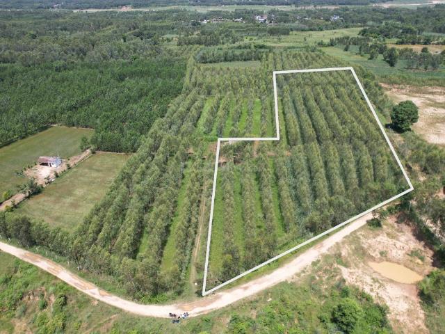 Land for sale in Behat, Arunachal Pradesh