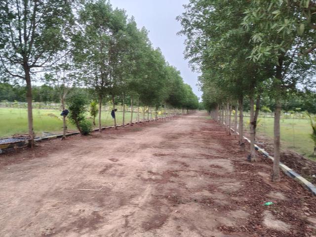 Land for sale in Madurantakam, Tamil Nadu