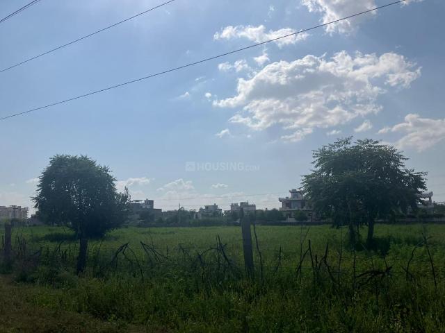 Land for sale in Chaksu, Rajasthan