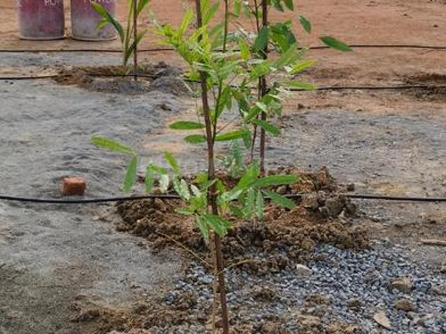 Land for sale in Tamil Nadu