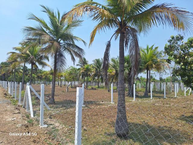 Land for sale in Madurantakam, Tamil Nadu