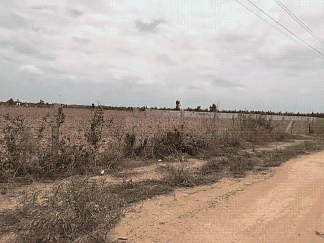 Land for sale in Devanahalli - Bangalore, Karnataka