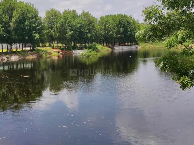 Land for sale in Telangana