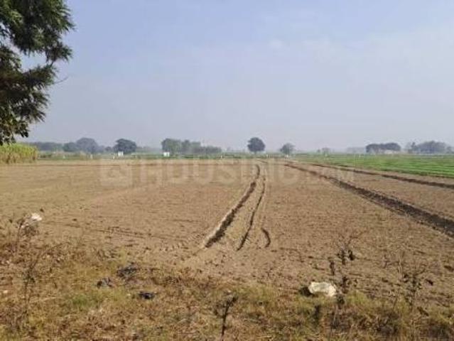 Land for sale in Dholera, Ahmedabad
