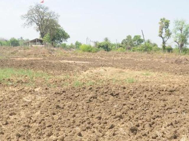 Land for sale in Dholka, Gujarat