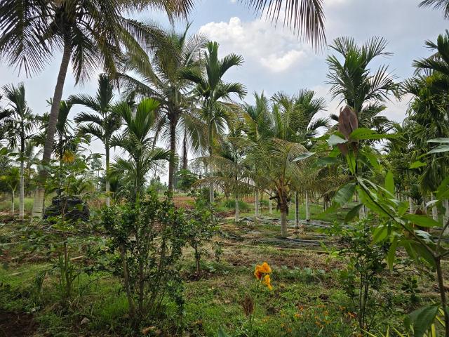 Land for sale in Karnataka